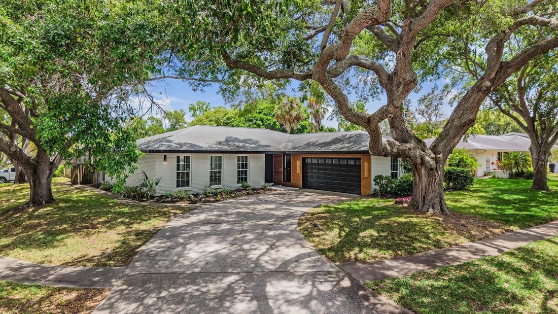 House in Palm Harbor, Florida, United States 1 - 17760554