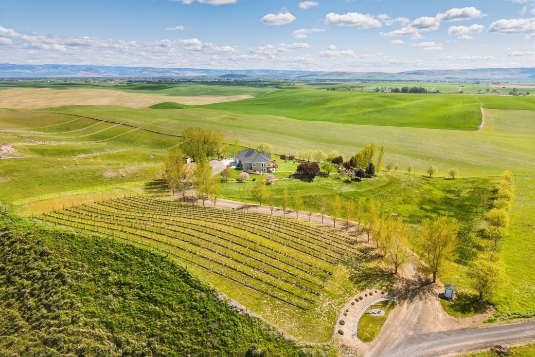 House in Walla Walla, Washington, United States 2 - 17757024