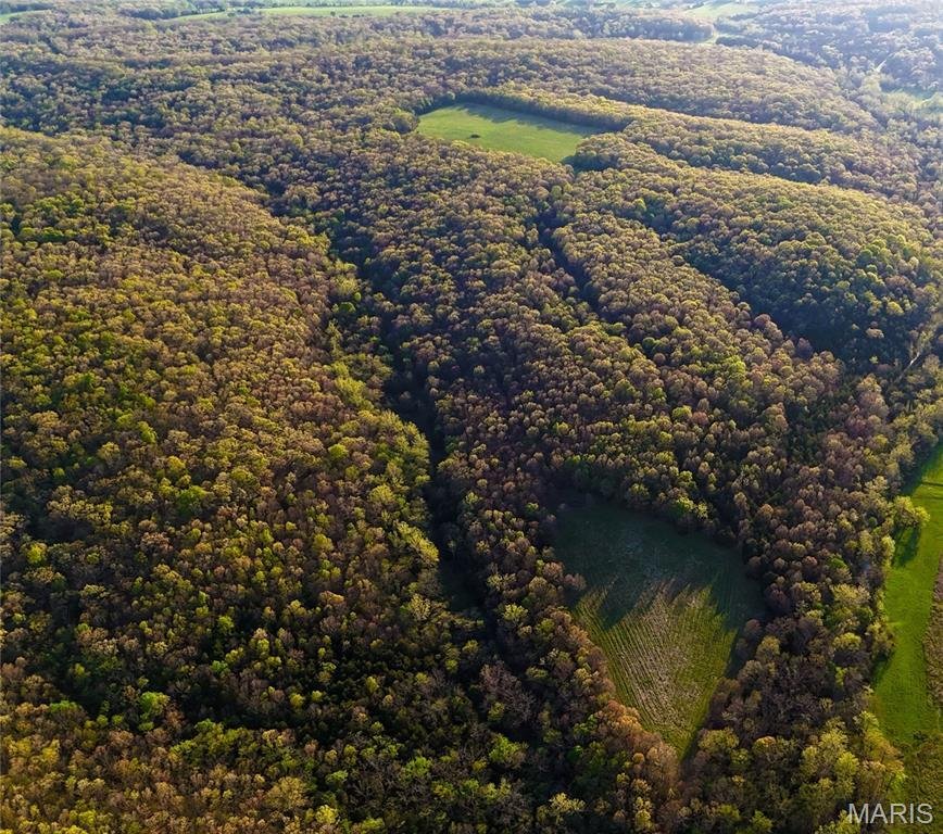 Farm Ranch in Crocker, Missouri, United States 5 - 17757494