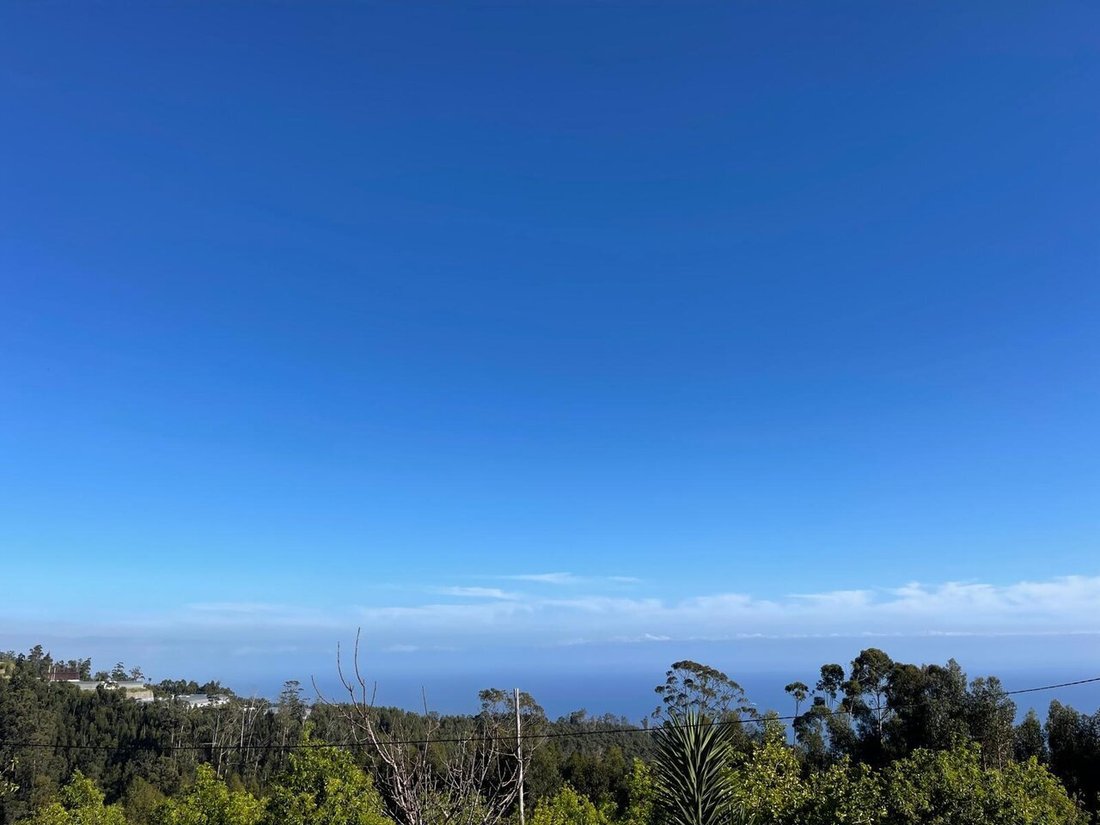 Land in Arco da Calheta, Madeira, Portugal 4 - 17762560