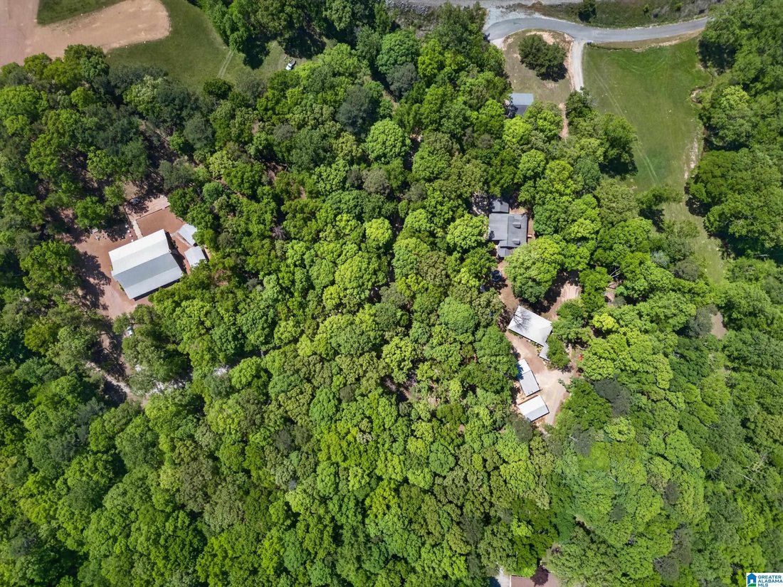 House in Anniston, Alabama, United States 2 - 17757458