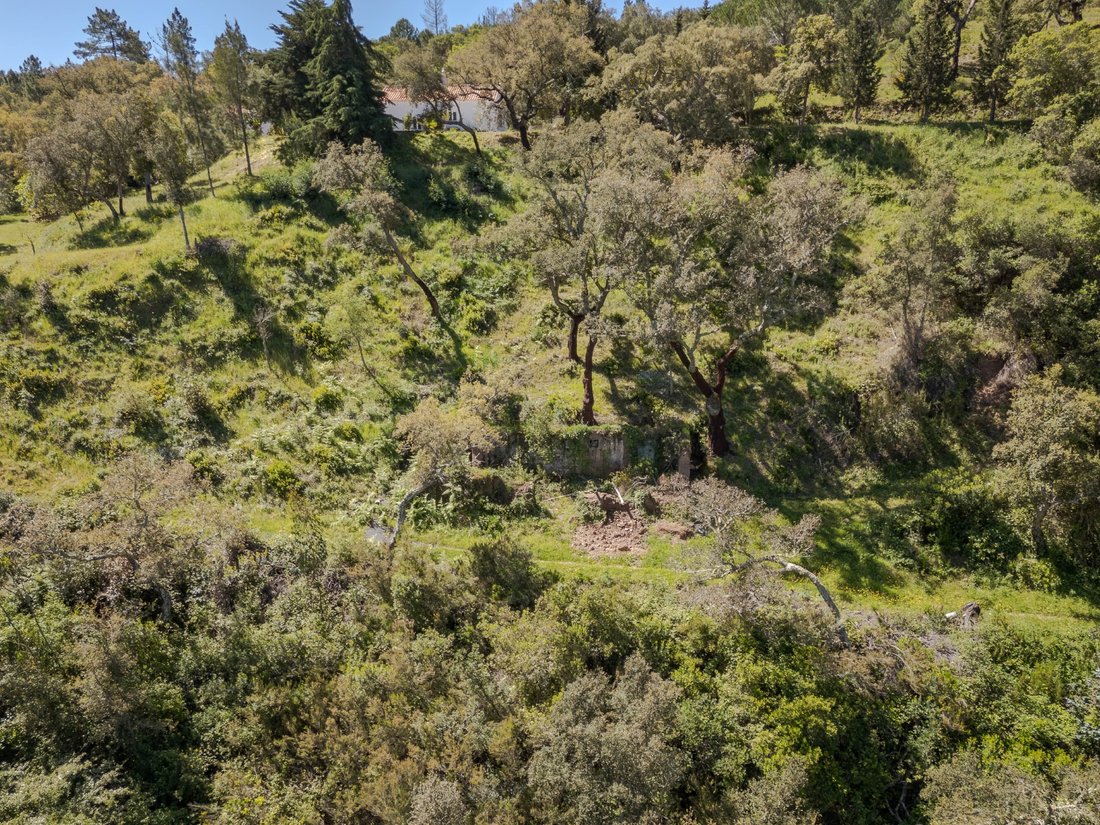 Finca in Marmelete, Algarve, Portugal 5 - 17756887