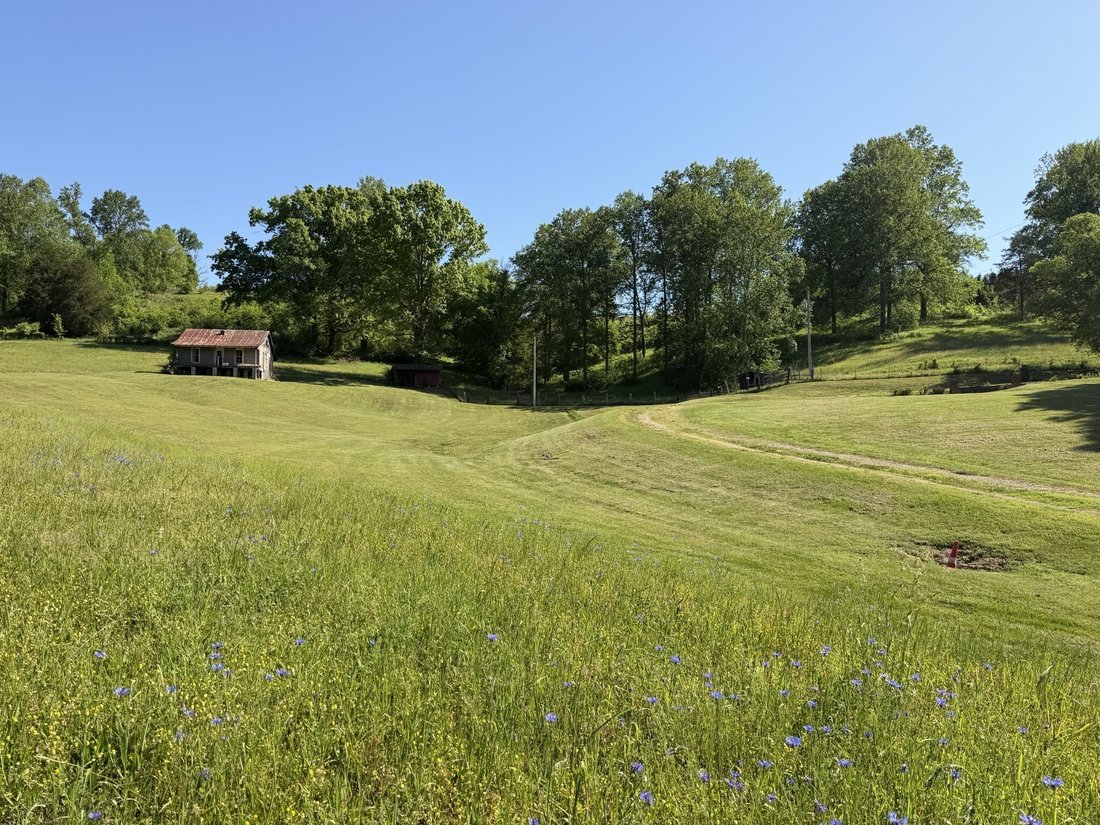 House in Williamsport, Tennessee, United States 5 - 17758890