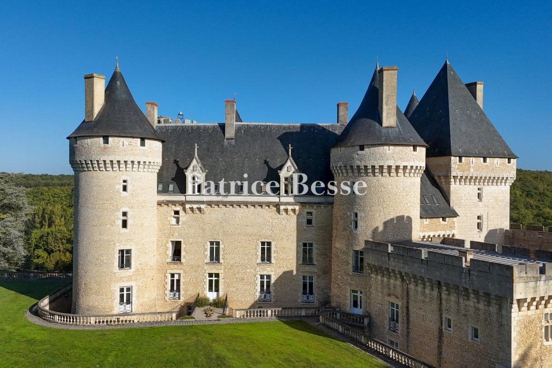 Castle in Les Grands Champs-Les Chevaliers, Châteauroux, France 2 - 17760253