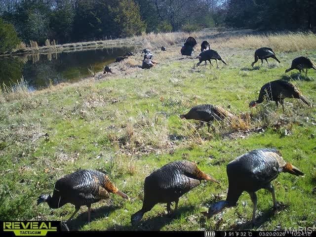 Farm Ranch in Crocker, Missouri, United States 4 - 17757494