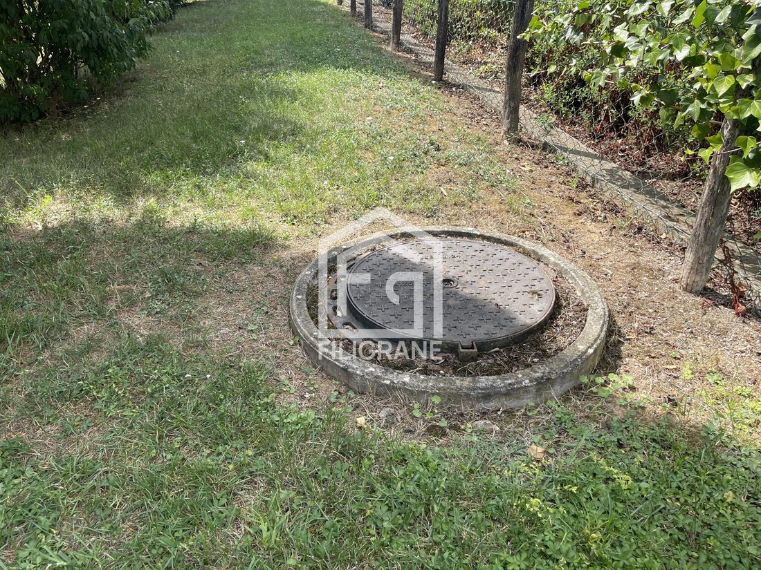 Land in Schnersheim, Grand Est, France 5 - 17761620