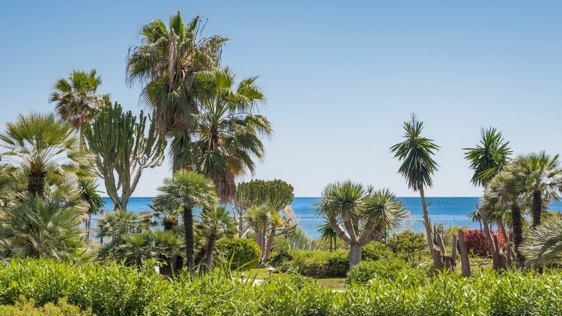 Apartment in Estepona, Andalusia, Spain 1 - 17754763
