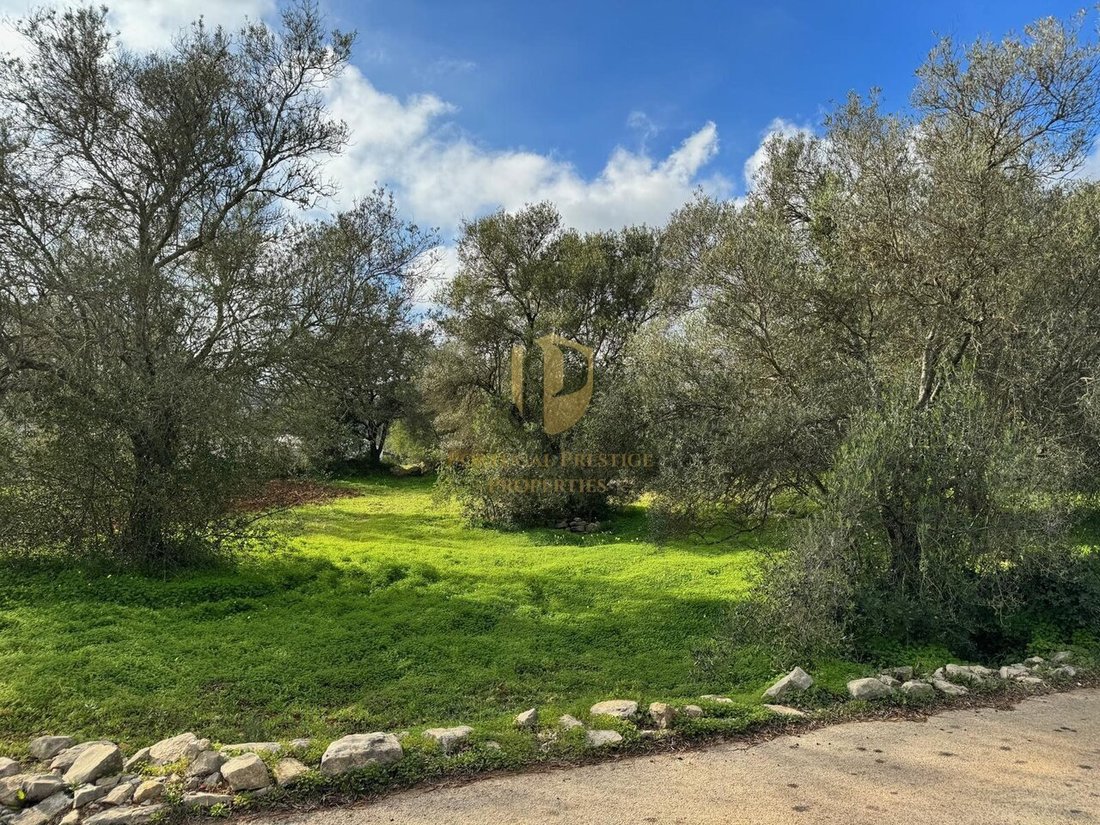 Land in Sao Bras de Alportel, Algarve, Portugal 3 - 17762582