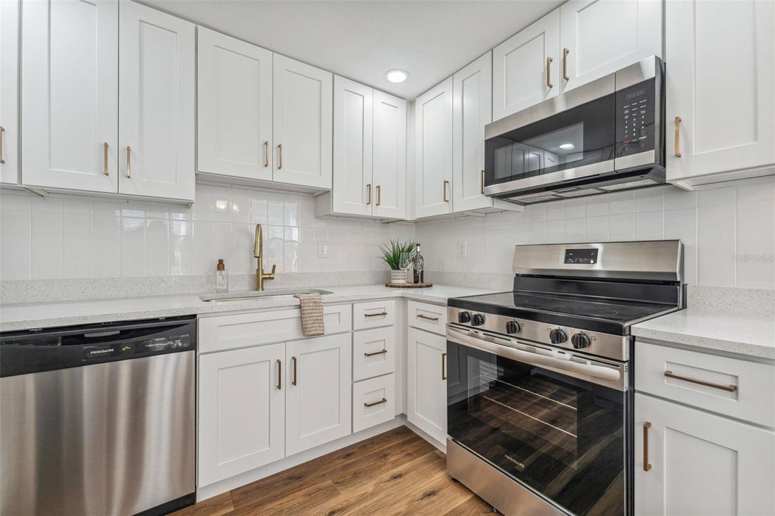 House in Tampa, Florida, United States 5 - 17755738