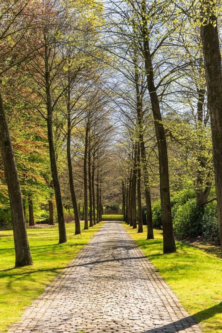 Estate in Kapellen, Flanders, Belgium 3 - 17755045