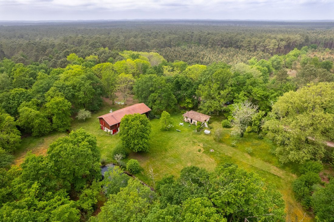 House in Ares, Nouvelle-Aquitaine, France 5 - 17506134