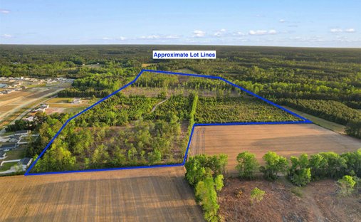 Land in Loris, South Carolina, United States 1
