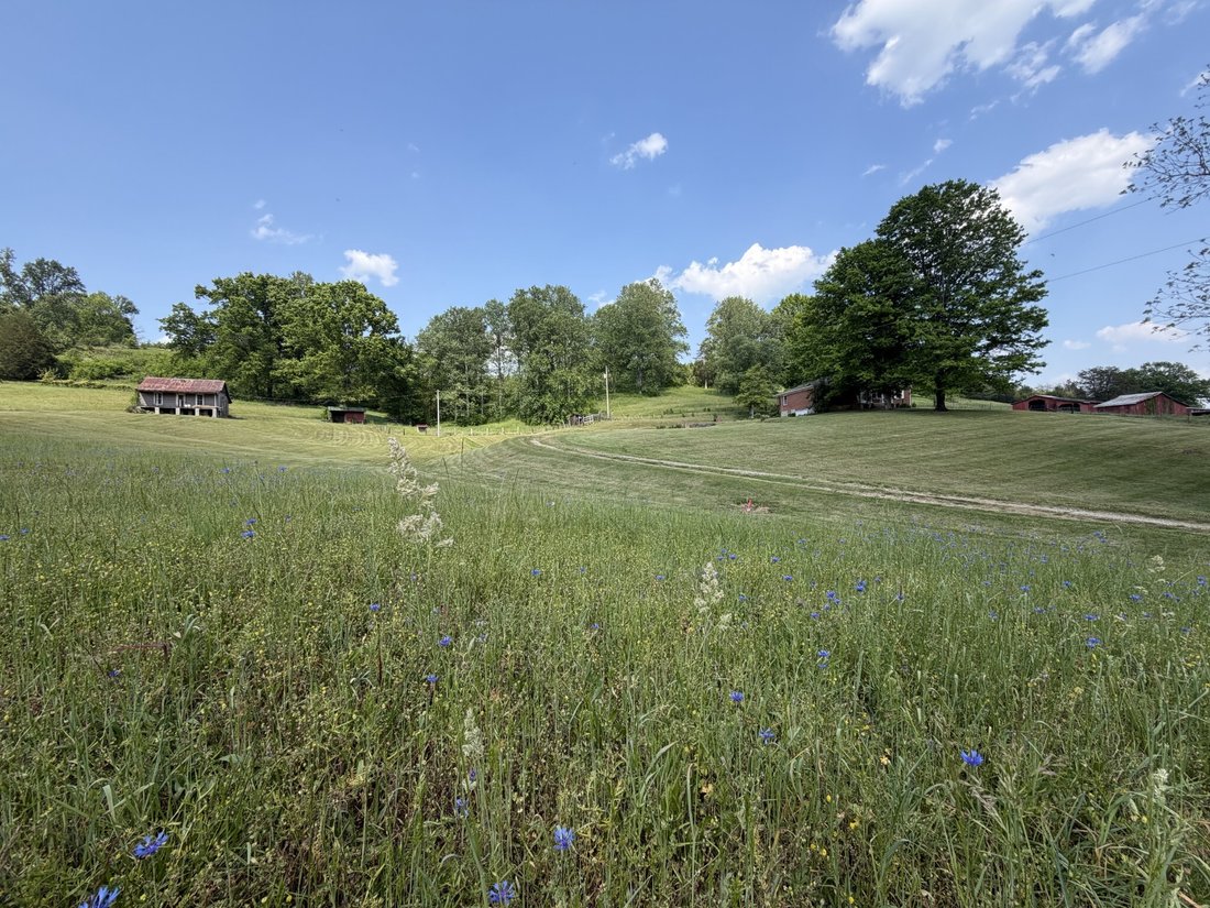 House in Williamsport, Tennessee, United States 1 - 17758960