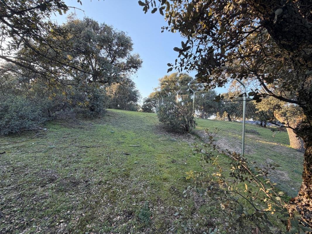 Land in Boadilla del Monte, Comunidad de Madrid, Spain 3 - 17756547