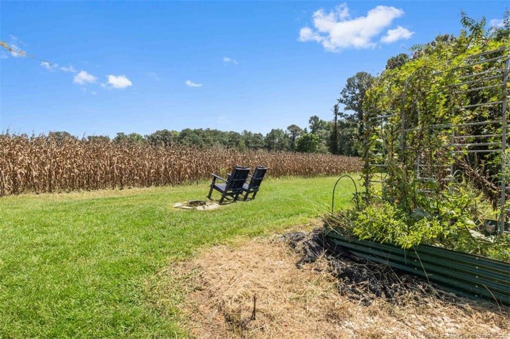 Farm Ranch in Fairmont, North Carolina, United States 5 - 17758516