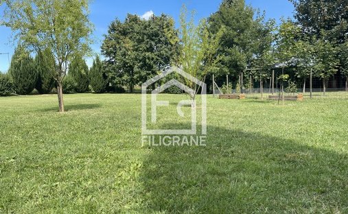 Land in Schnersheim, Grand Est, France 1