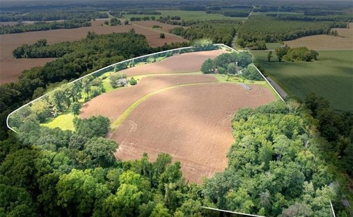 Farm Ranch in Fairmont, North Carolina, United States 1