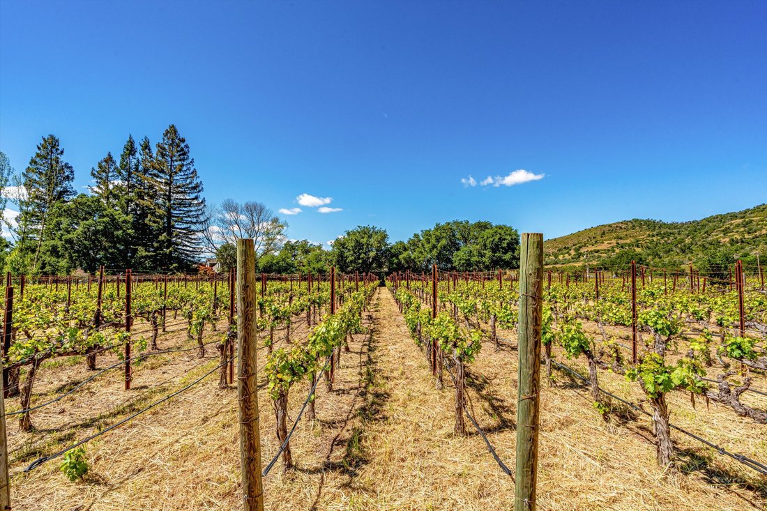 House in Napa, California, United States 2 - 17754322