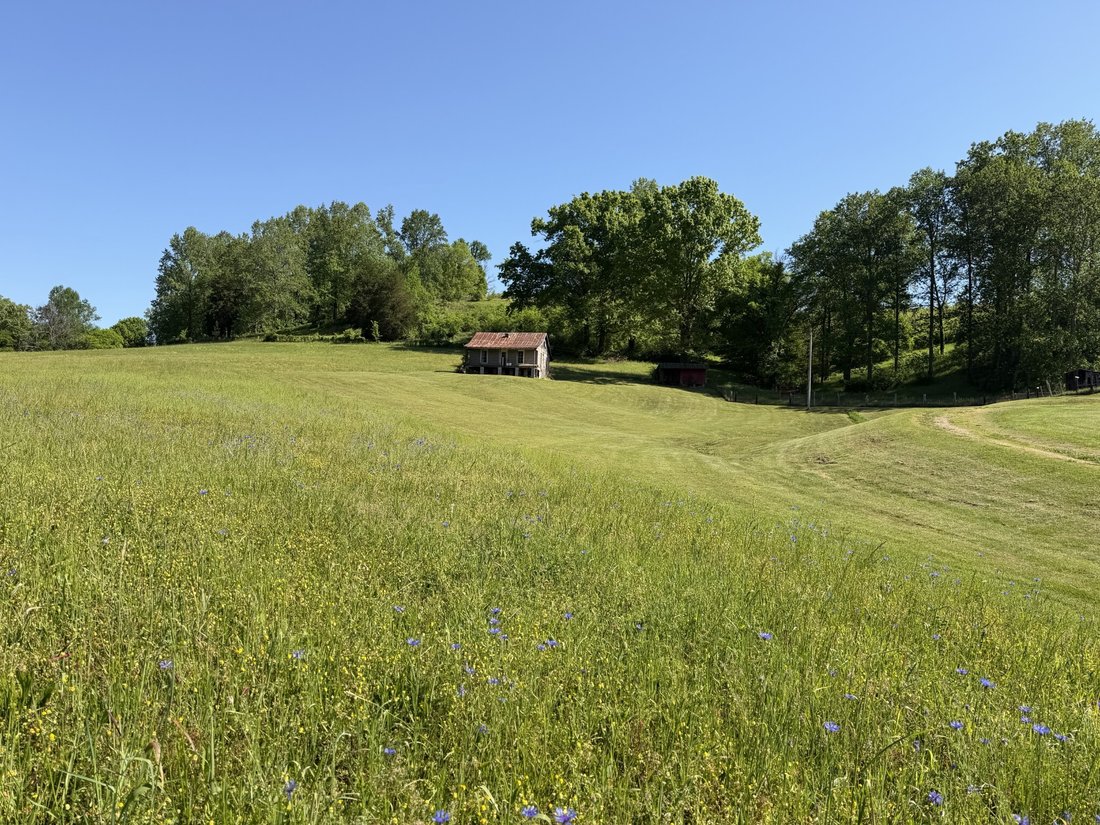 House in Williamsport, Tennessee, United States 4 - 17758890