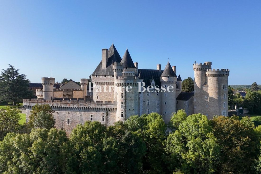 Castle in Les Grands Champs-Les Chevaliers, Châteauroux, France 1 - 17760253