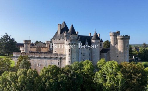 Castle in Les Grands Champs-Les Chevaliers, Châteauroux, France 1
