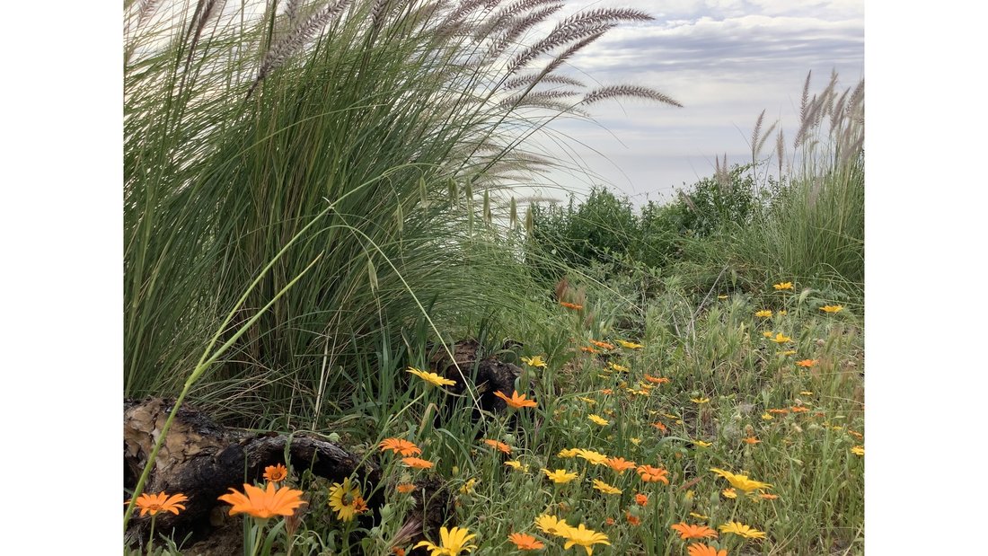 Land in Malibu, California, United States 3 - 17704690