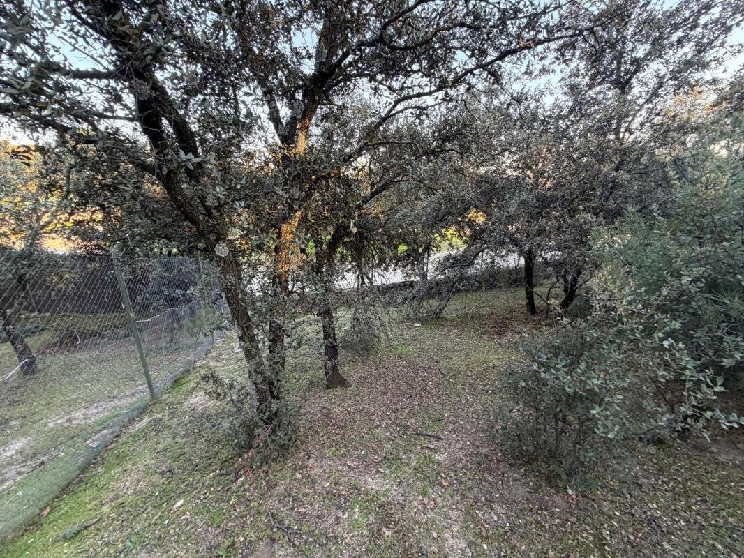 Land in Boadilla del Monte, Comunidad de Madrid, Spain 5 - 17756547