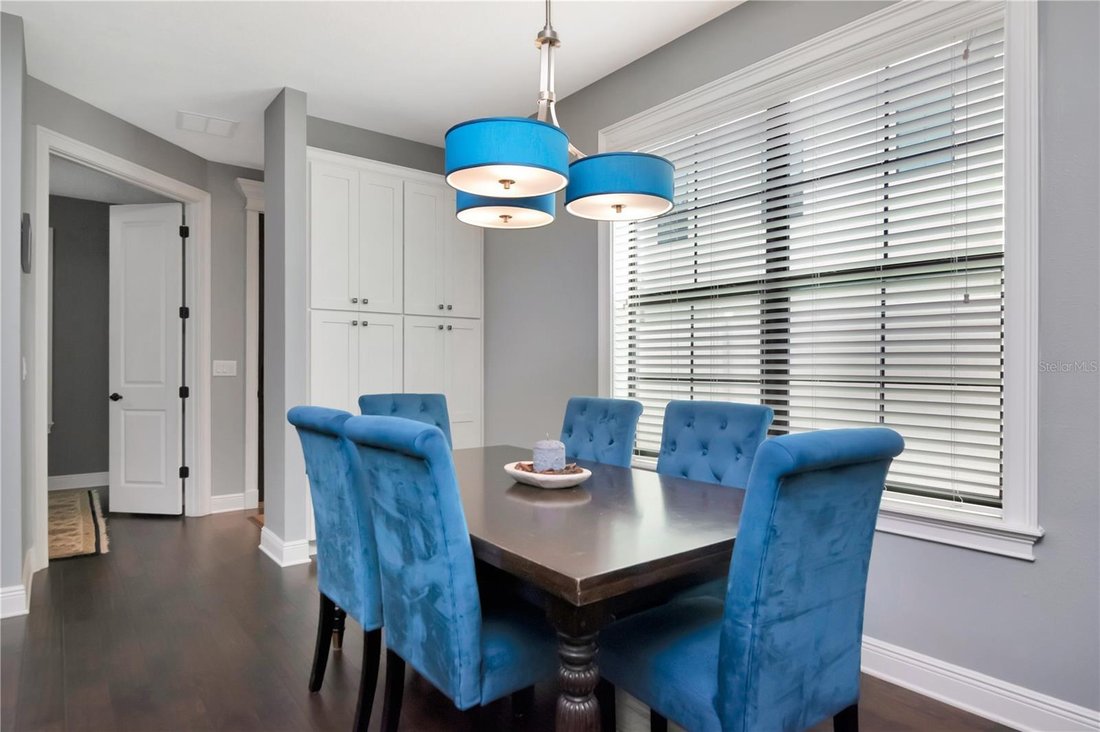House in Tampa, Florida, United States 5 - 17757428
