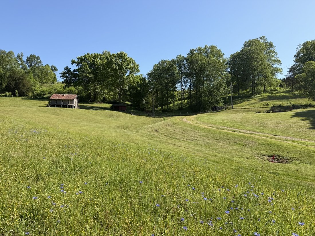 House in Williamsport, Tennessee, United States 4 - 17758960