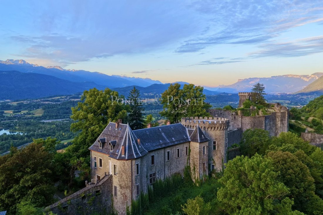 Chateau in Saint-Pierre-d'Albigny, Auvergne-Rhône-Alpes, France 5 - 17500037