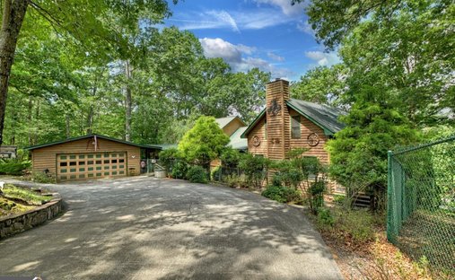 House in Mineral Bluff, Georgia, United States 1