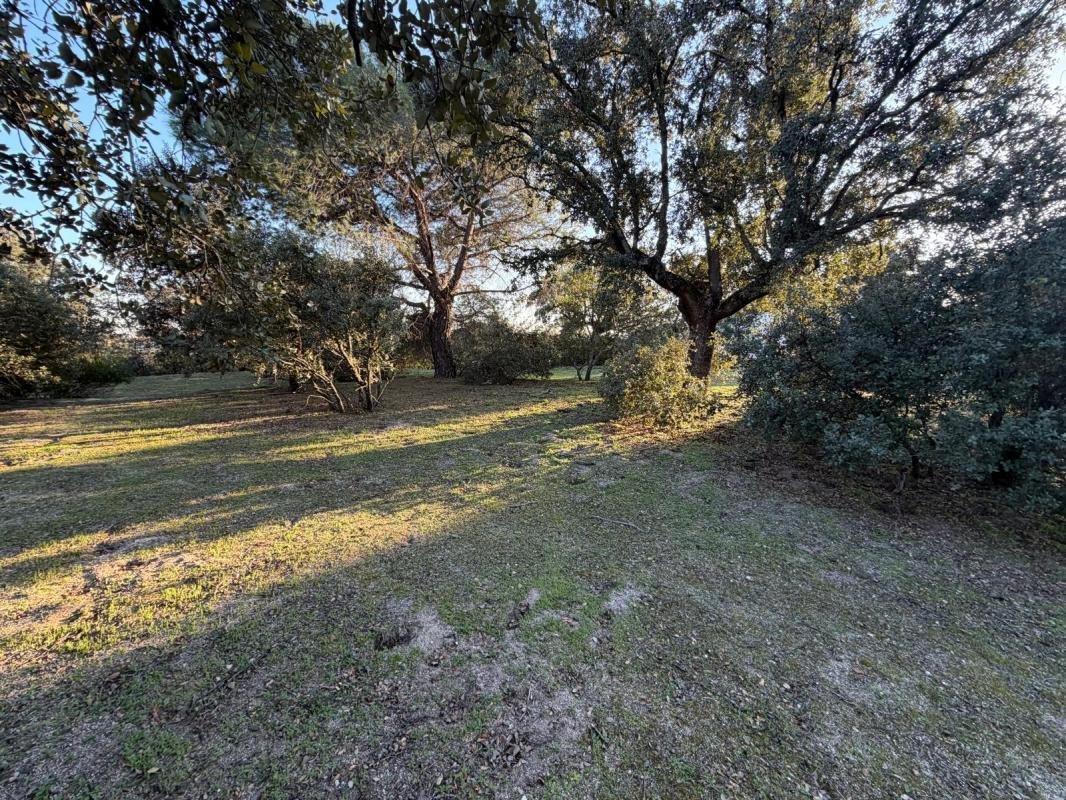 Land in Boadilla del Monte, Comunidad de Madrid, Spain 2 - 17756547