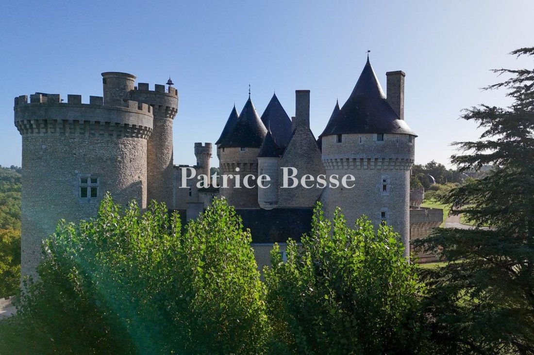 Castle in Les Grands Champs-Les Chevaliers, Châteauroux, France 3 - 17760253
