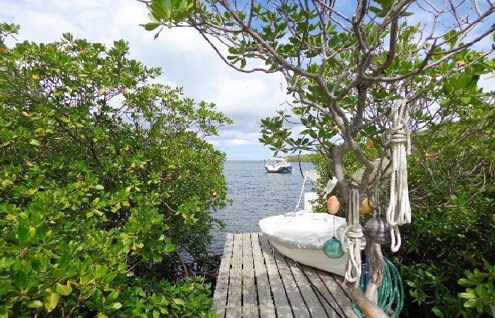 Villa in Willikies, Saint Philip, Antigua and Barbuda 5 - 17763283