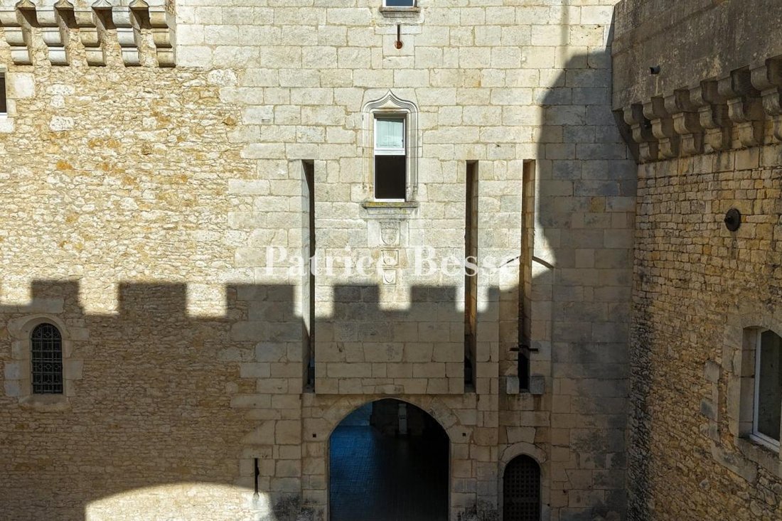Castle in Les Grands Champs-Les Chevaliers, Châteauroux, France 5 - 17760253