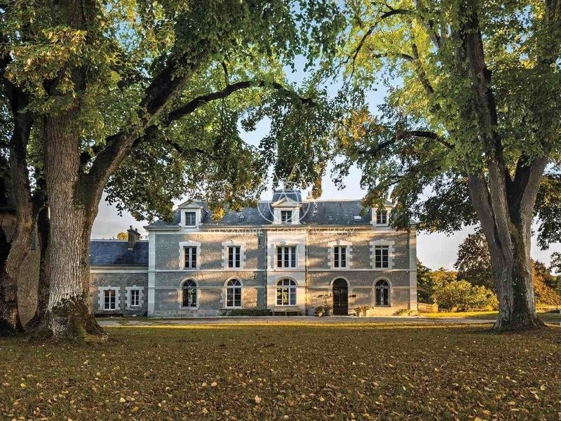 Castle in Centre Ville, Blois, France 2 - 17241914