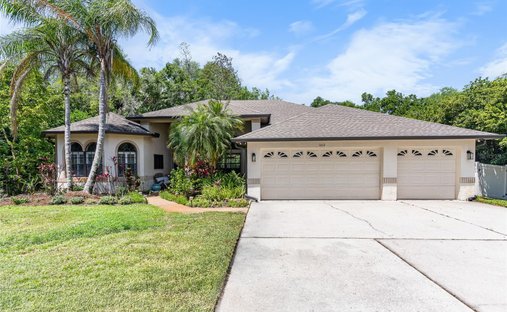 Haus in Lutz, Florida, Vereinigte Staaten 1