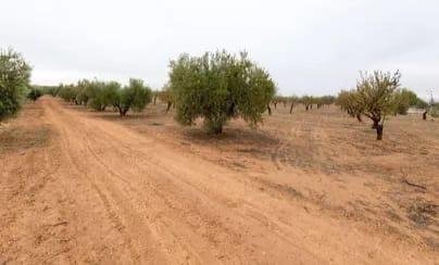 Land in Escúzar, Andalusien, Spanien 2 - 17767431