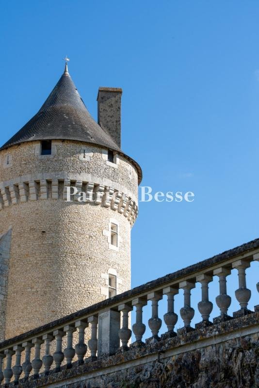 Castle in Les Grands Champs-Les Chevaliers, Châteauroux, France 4 - 17760253