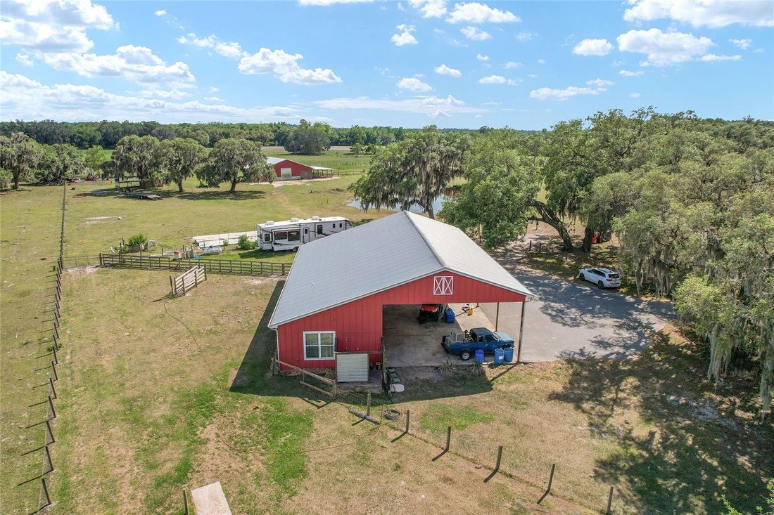 Farm Ranch in Ocklawaha, Florida, United States 1 - 17748081