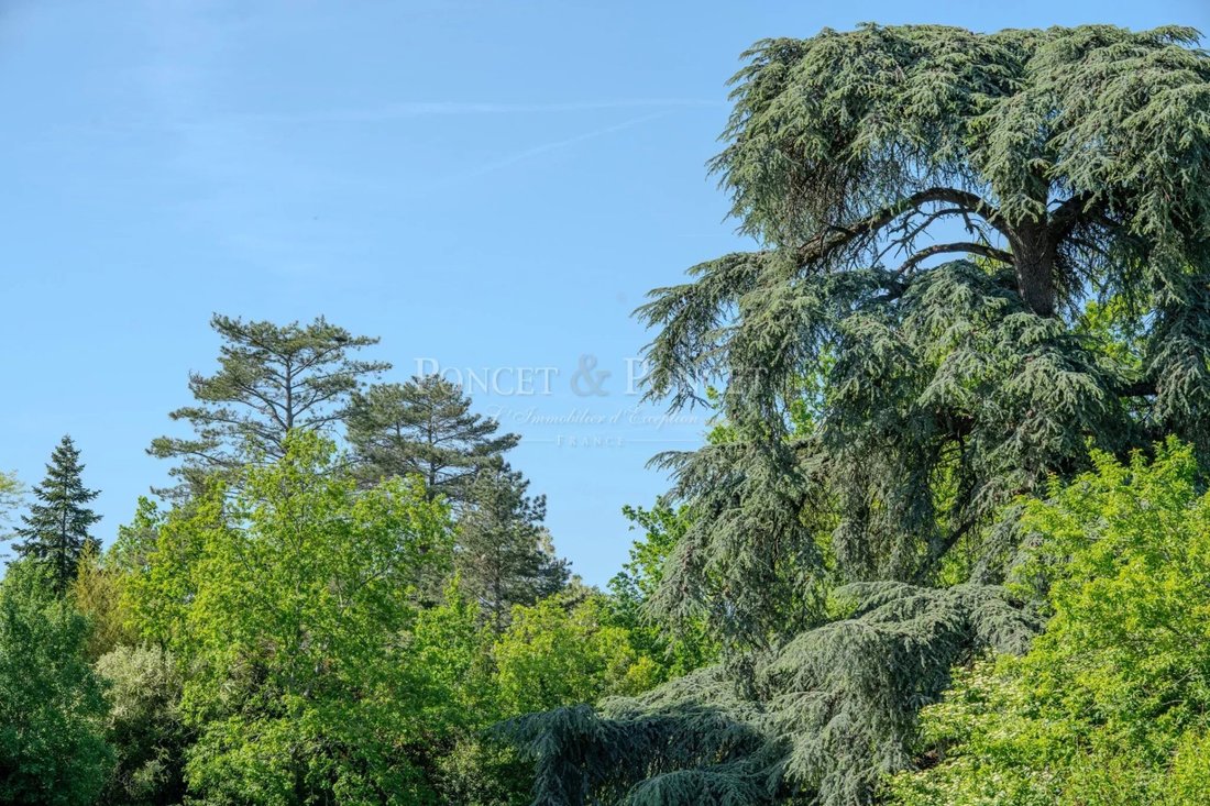 Chateau in Vieux Gaillac, Gaillac, France 4 - 17449608