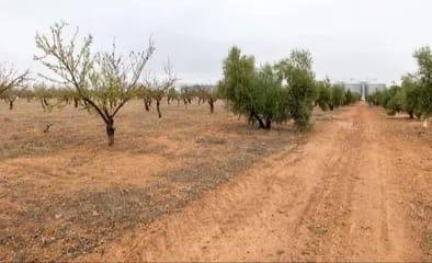 Land in Escuzar, Andalusia, Spain 3 - 17767253