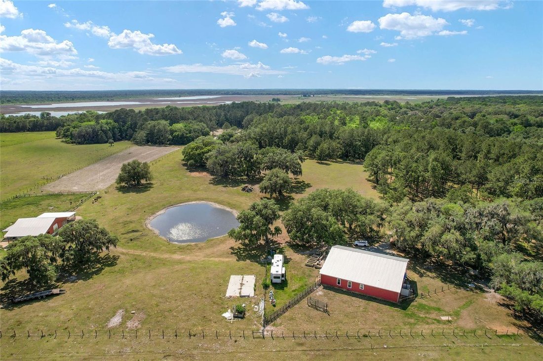 Farm Ranch in Ocklawaha, Florida, United States 2 - 17748081