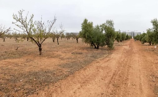 Land in Escuzar, Andalusia, Spain 1