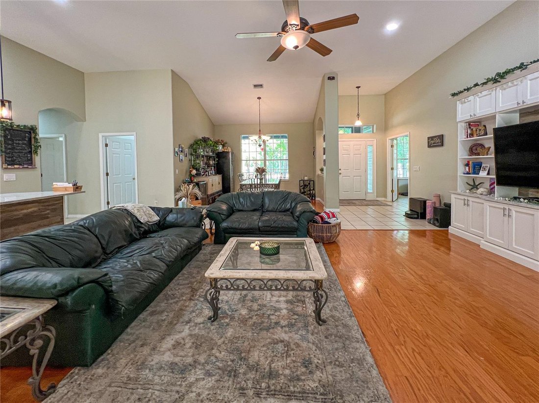 House in Wesley Chapel, Florida, United States 5 - 17767186