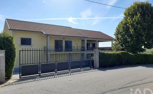 Land in Sabrosa, Vila Real, Portugal 1