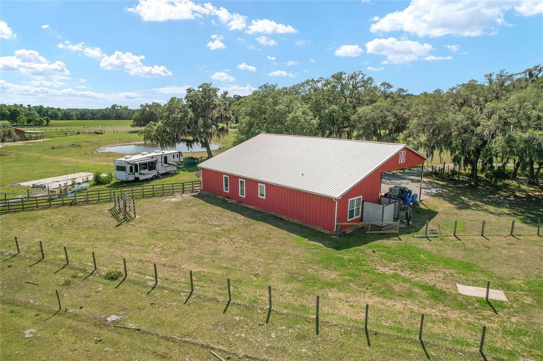 Farm Ranch in Ocklawaha, Florida, United States 3 - 17748081