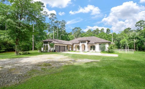 House in Spring, Texas, United States 1