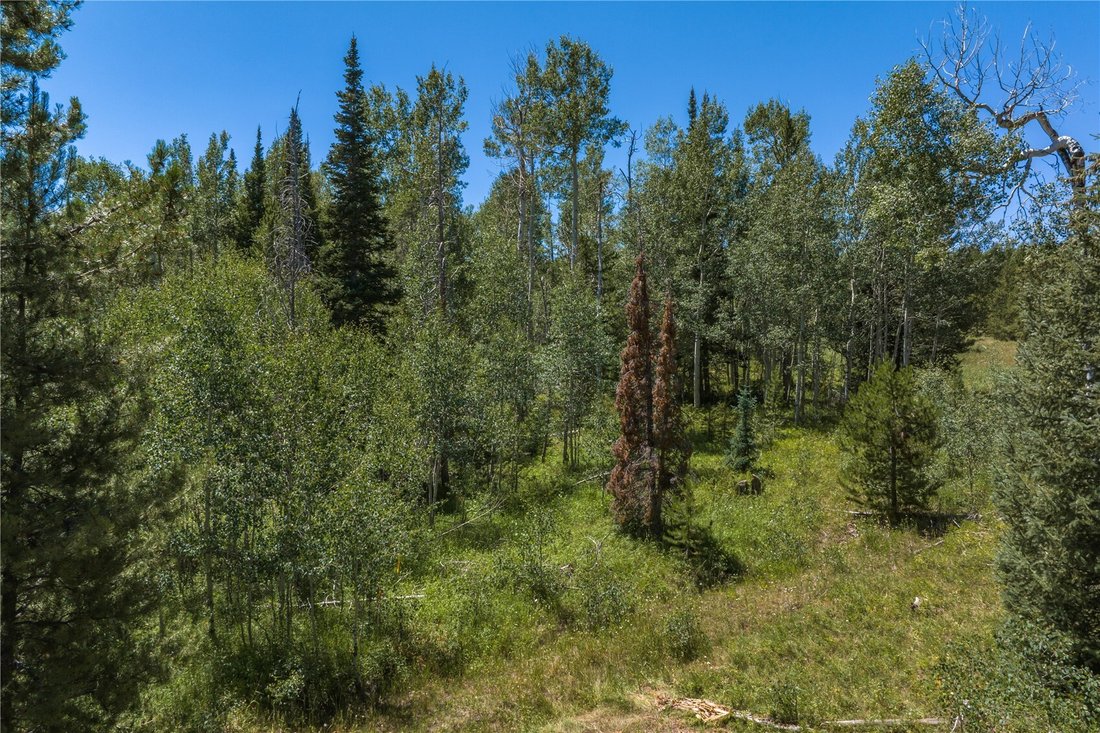House in Silverthorne, Colorado, United States 5 - 16135833