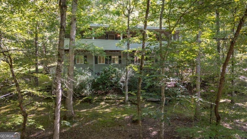 House in Cleveland, Georgia, United States 1 - 17767255